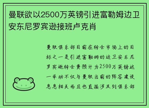 曼联欲以2500万英镑引进富勒姆边卫安东尼罗宾逊接班卢克肖